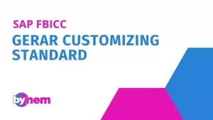 FBICC Gerar customizing standard